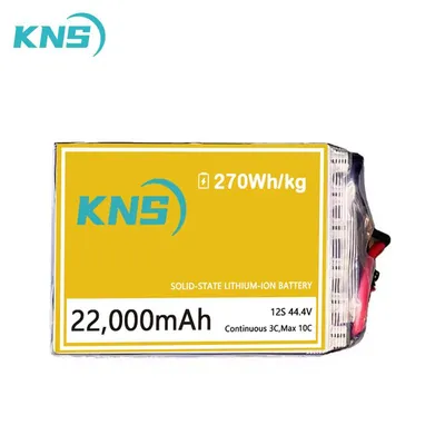 21980mAh 12S Solid State Li-ion Battery