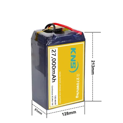 27000mAh 12S Solid State Li-ion Battery