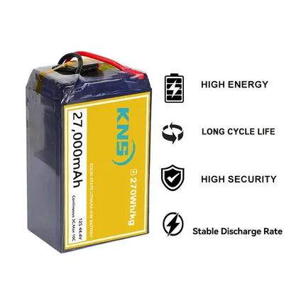 27000mAh 12S Solid State Li-ion Battery